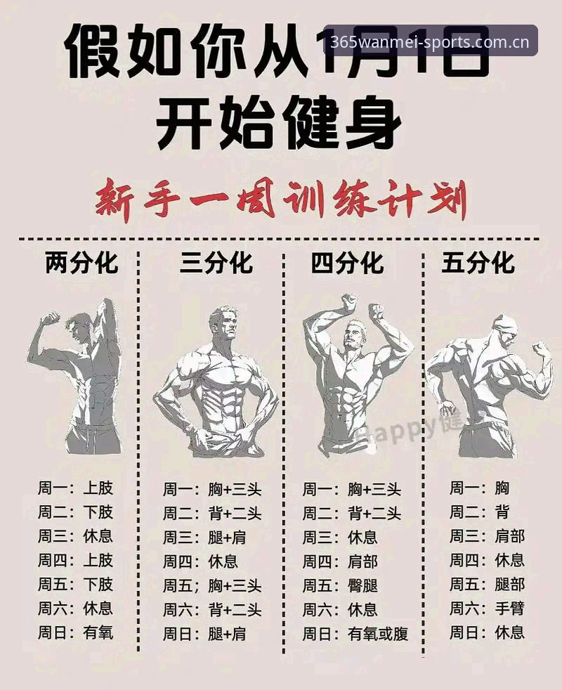 完美体育365官方版 完美体育365平台实用指南:从新手到高手的必备知识